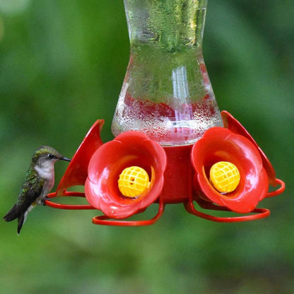 Glass Hummingbird Feeder with Ant Moat – Floral Design for Gardens & Patios
