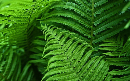 VividFern UV-Resistant Faux Plant for Outdoor Decor
