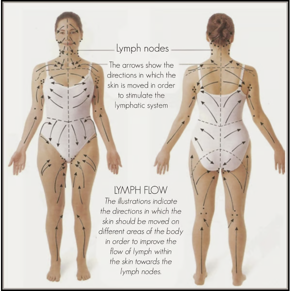 Lymphatic Drainage Ginger Essential Oil – Natural Swelling Relief