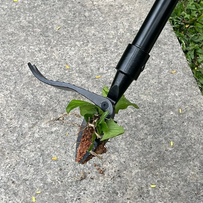 Adjustable Stainless Steel Weed Puller with Long Detachable Handle