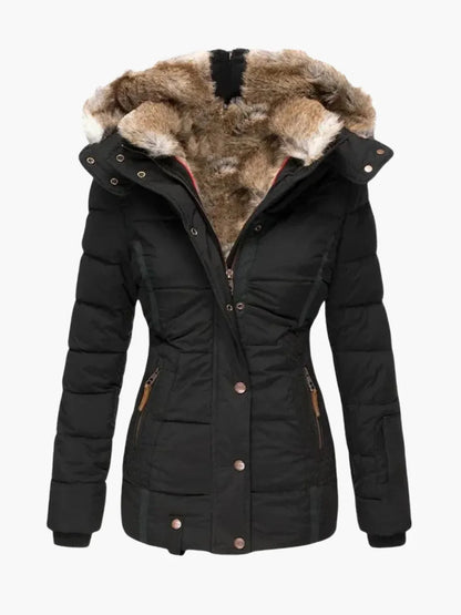 Winter Jacket
